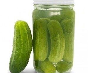 Les cornichons sont-ils une bonne friandise pour mon chien de compagnie ? [Best Advice]