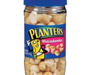 Les noix de macadamia peuvent tuer votre chien