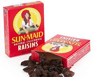Les raisins secs sont-ils vraiment interdits pour les chiens ? [Best Advice]