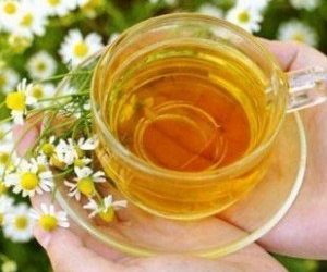 Mon chien peut-il avoir du thé à la camomille ?