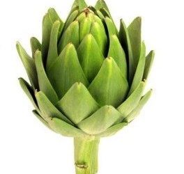 Mon chien peut-il manger des artichauts ? [Best Feeding Advice]