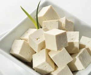 Puis-je donner du tofu à mon chien ?