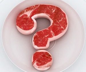 Quels types de viandes sont les meilleurs pour les chiens ?