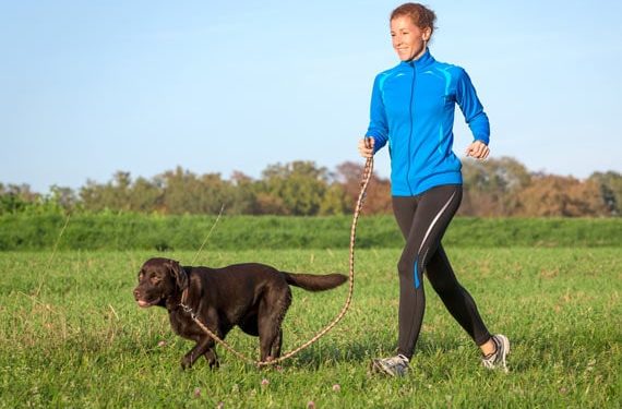 Votre animal vieillissant a-t-il besoin d’un nouveau régime et d’un nouveau style de vie ?
