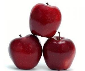 Votre chien peut manger des pommes