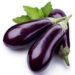 Voulez-vous nourrir votre chien aubergine?