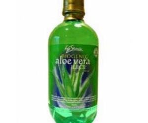 Puis-je donner du jus d’aloe vera à mon chien ?  – PUIS-JE DONNER MON DOG.COM