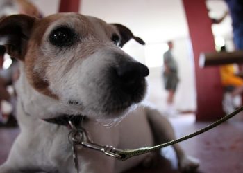 À faire et à ne pas faire de la formation au rappel