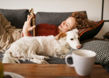 Animaux de soutien émotionnel : quels animaux sont admissibles et comment enregistrer votre ESA