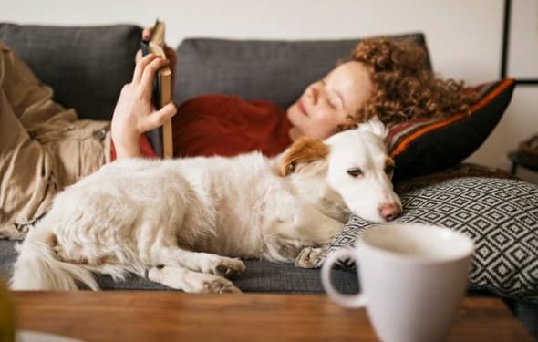 Animaux de soutien émotionnel : quels animaux sont admissibles et comment enregistrer votre ESA