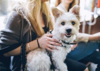 Calendrier de vaccination pour chaque étape de la vie