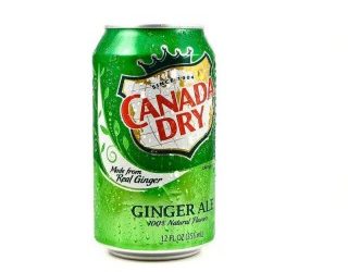 Le Ginger Ale aidera-t-il à apaiser les maux d’estomac d’un chien de compagnie ?