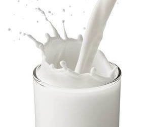 Le lait est-il bon ou mauvais pour les chiens ?