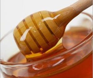 Les chiens peuvent-ils manger du miel ?  |  La vérité peut vous surprendre !