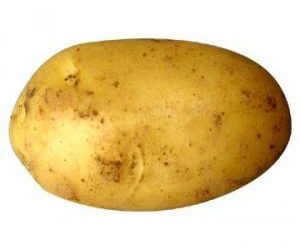 Les chiens peuvent manger des pommes de terre !  |  Mais devraient-ils? [Best Advice]