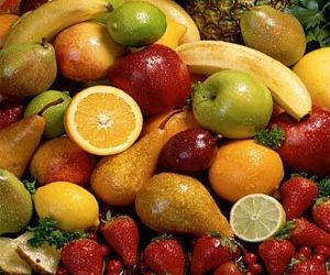 Les fruits sont-ils acceptables pour les chiens ?