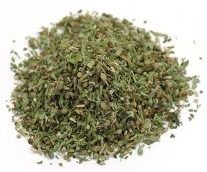 L’herbe à chat fonctionne-t-elle également sur les chiens ?  Meilleurs conseils pour une utilisation en toute sécurité !