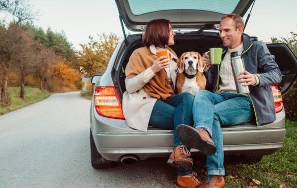 Liste de contrôle essentielle pour un voyage en voiture avec des chiens