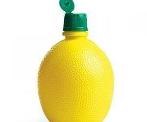 Mon chien peut-il avoir du jus de citron ?