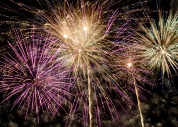 Poudre à canon et chiens |  La poudre à canon est-elle dangereuse pour les chiens ?