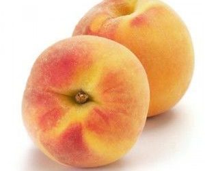 Votre chien peut avoir une pêche