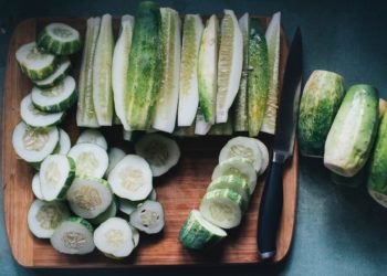 Votre chien peut manger des concombres