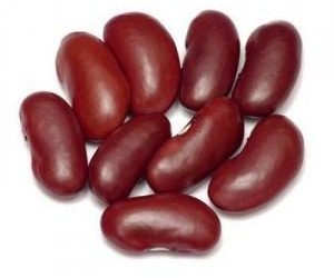 Votre chien peut manger des haricots