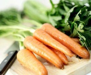 Vous devriez partager des carottes avec votre chien – Apprenez comment et pourquoi !