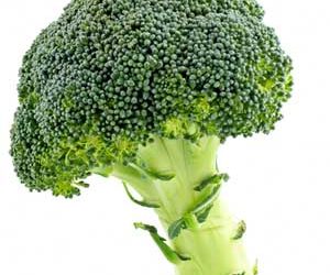 Vous voulez que votre chien profite du brocoli ?