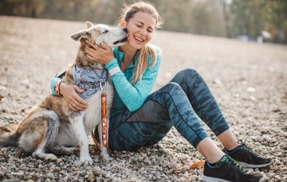Faire de l’exercice avec votre chien 101