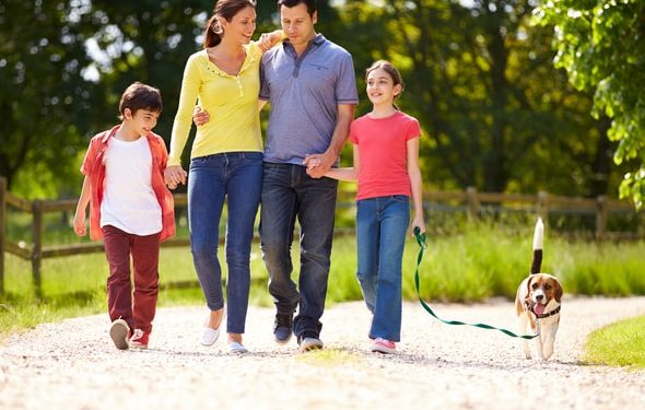 Planification successorale pour animaux de compagnie : pourquoi devriez-vous le faire