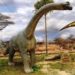 Which dinosaurs are herbivores?