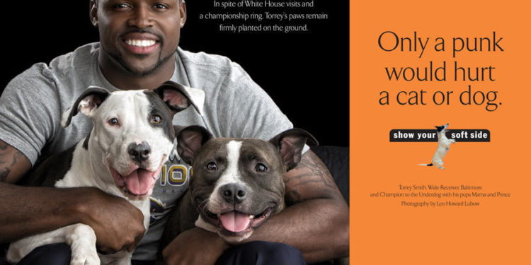 Do pit bulls turn on their owners?