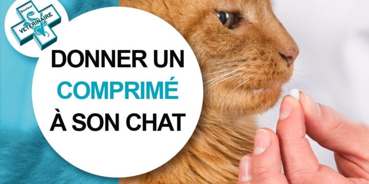 Comment donner du Rescue à un chat ?