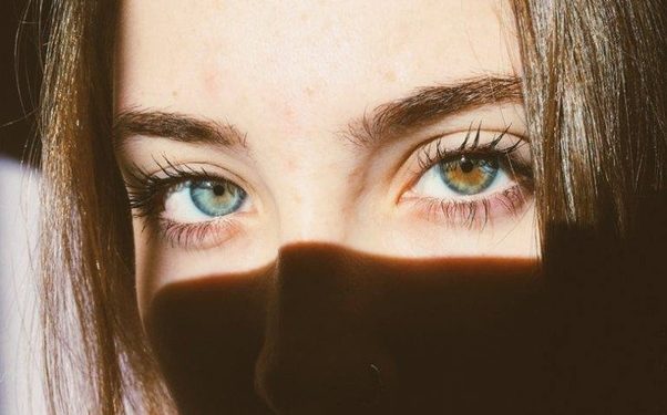 Comment Appelle-t-on un chien qui a 2 yeux de couleur différente ?