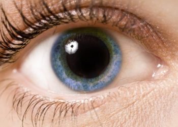 Comment se dilater les pupilles ?