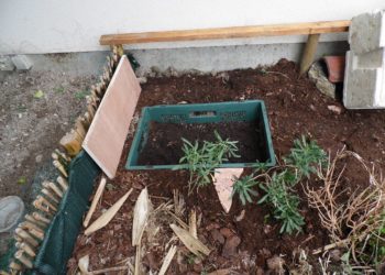 Comment faire une caisse d'hibernation pour tortue ?