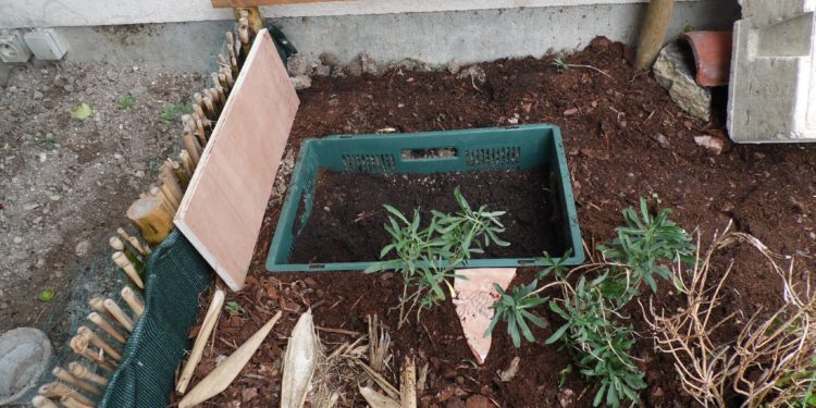 Comment faire une caisse d'hibernation pour tortue ?