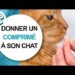Comment donner un comprimé à un chat difficile ?