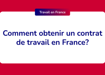 Comment obtenir un Serval en France ?