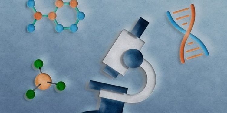 Qu'est-ce que le Stronghold ?