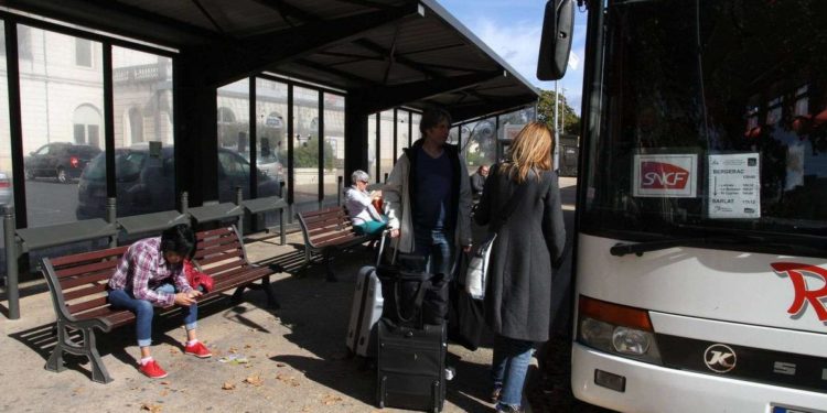 Quelle alternative au Bravecto ?