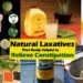 Quel est le meilleur laxatif naturel ?