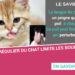 Comment savoir si un chat a une boule de poil ?