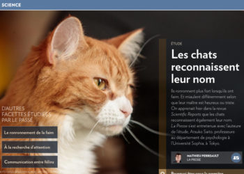 Est-ce que les poules reconnaissent leur nom ?