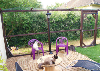Comment faire pour que le chat reste dans le jardin ?