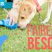 Comment apprendre à un chien à faire ses besoins à un endroit précis ?
