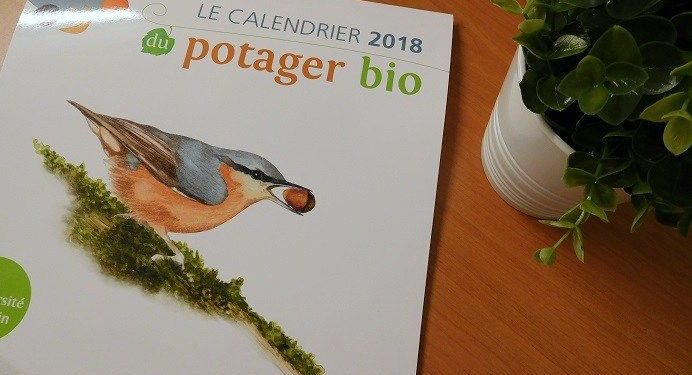 Comment avoir un rapace chez soi ?