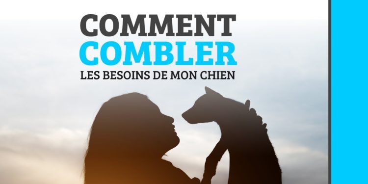 Comment rendre heureux un Spitz ?