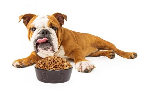 Quel quantité de croquette pour mon lapin ?